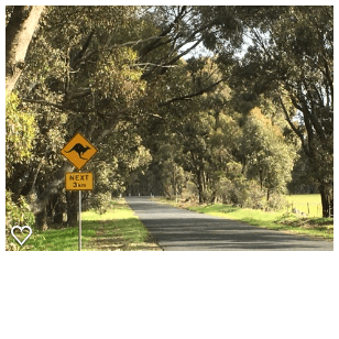 Country road with kangaroo sign